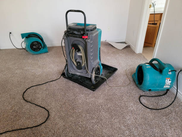 Best Flooded house restoration  in Country Knolls, NY