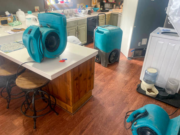 Best Commercial water damage restoration  in Country Knolls, NY