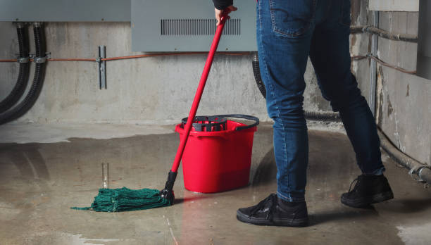 Best Basement water damage restoration  in Country Knolls, NY