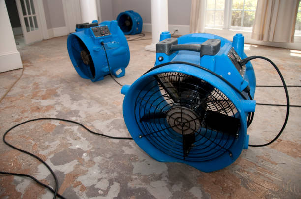 Best Water damage cleanup near me  in Country Knolls, NY