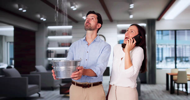 Best Mold removal after water damage  in Country Knolls, NY